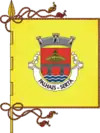 Bandeira de Palhais