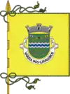 Bandeira de Várzea dos Cavaleiros