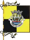 Bandeira de Vieira do Minho