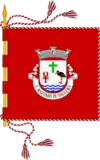 Bandeira de São Martinho de Angueira