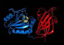 PTEN, uma fosfatase.