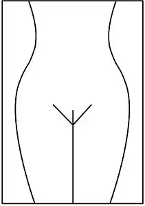 Brazilian wax (full wax) ou Hollywood