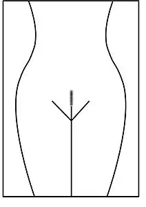 Brazilian wax (com a "pista de pouso")