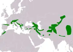 Distribuição da gralha-de-bico-amarelo