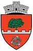Brasão de armas de Ariniș