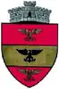 Brasão de armas de Vultureşti
