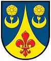 Brasão de armas de Radkov