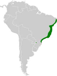 As florestas e áreas costeiras das regiões de Mata Atlântica, ao leste do Brasil, são o habitat do tiê-sangue (Ramphocelus bresilius).