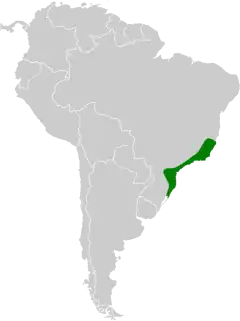 Distribuição do beija-flor-rajado