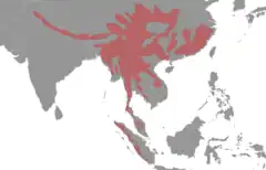 Distribuição territorial do serau-continental