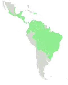 Distribuição da espécie na América.