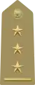 Primo capitano(Italian Army)