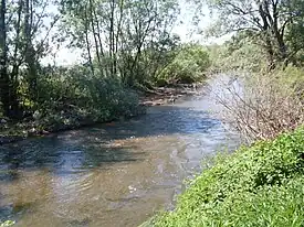 La Resava à Plažane