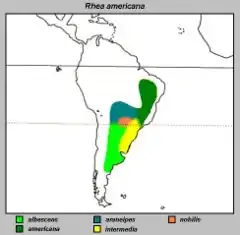 Mapa de distribuição das subespécies de ema na América do Sul.
