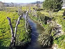 Rio Odres Amarante Vila Meã