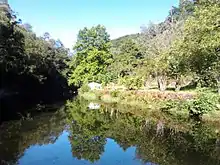 Amarante Olo Rio Olo