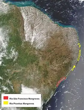 Imagem de satélite da costa do Nordeste Brasileiro em que se mostra a localização da ecorregião dos Mangues do Rio Piranhas (linha amarela) segundo o WWF.