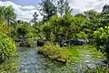Curso de água no Hot Park