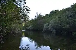 Rio Tuela