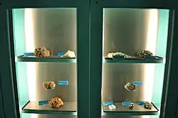 Exposição de rochas e minerais