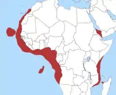 Distribuição de T. grabata