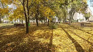 Praça principal de Głowaczów no outono