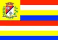 Bandeira de São João do Ivaí
