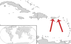 Locais onde foram encontrados os fósseis: ilha de Santa Cruz e Porto Rico.