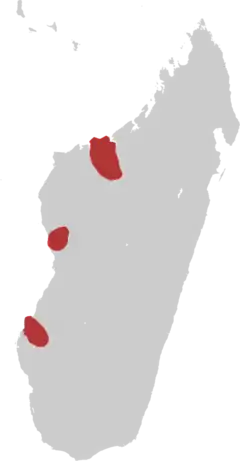 Distribuição da Amaurornis Olivieri.