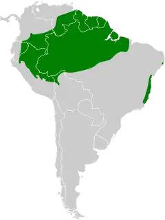 Distribuição do vira-folha-pardo