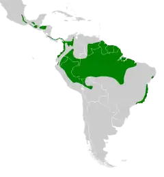 Distribuição do vira-folha-de-peito-canela
