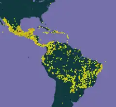 Mapa do GBIF de distribuição da G. ulmifolia.
