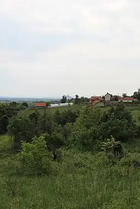 Kotesica - panorama
