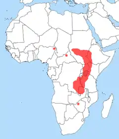 Distribuição do Balaeniceps rex na África