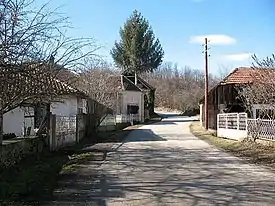 Rue à Sibnica