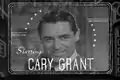 Cary GrantcomoC. K. Dexter Haven