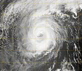 imagem ilustrativa de artigo Tufão Soulik (2006)