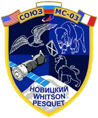 Insígnia da missão