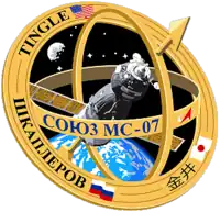 Insígnia da missão