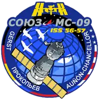 Insígnia da missão