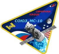 Insígnia da missão