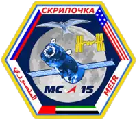 Insígnia da missão