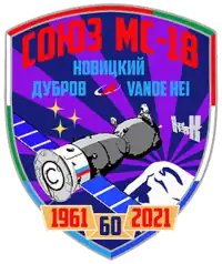 Insígnia da missão