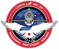 Insígnia da missão