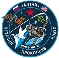 Insígnia da missão