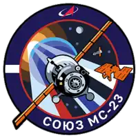 Insígnia da missão