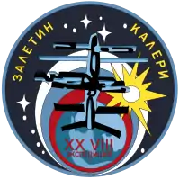 Insígnia da missão