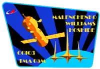 Insígnia da missão