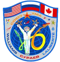 Insígnia da missão