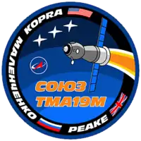 Insígnia da missão